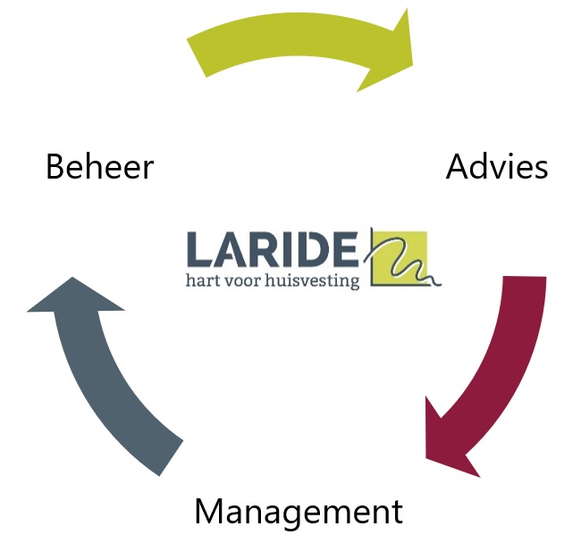 Schema advies-management-beheer
